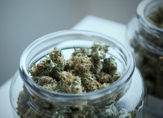 green cannabis on clear glass jar