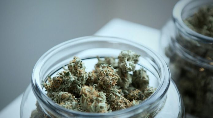 5 Mistakes People Make When Buying CBD Product green cannabis on clear glass jar