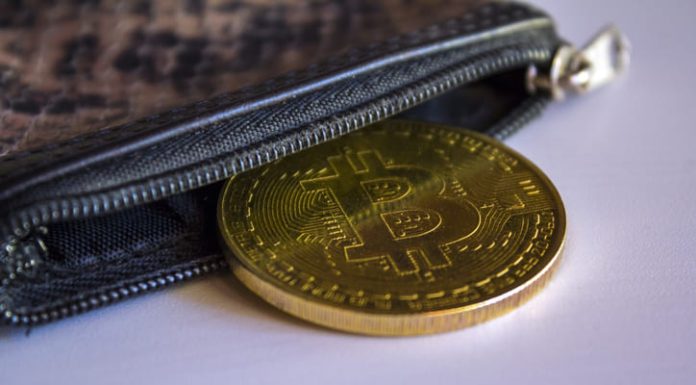 Bitcoin in leather wallet