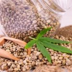 Why Seed Banks Matter: Ensuring Quality and Variety in Cannabis Cultivation cannabis seed in a glass jar