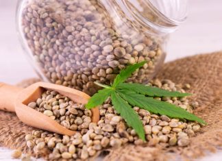 cannabis seed in a glass jar