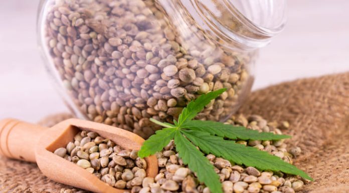 cannabis seed in a glass jar