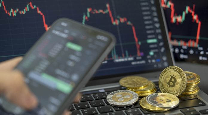 One in Thirteen Now Owns Cryptocurrency Cryptocurrency