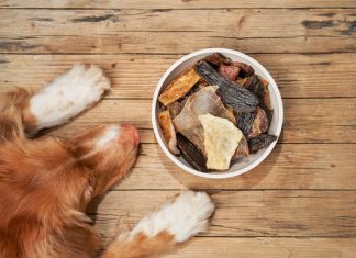 Dried dog treats