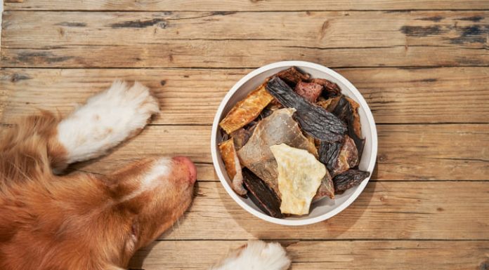 Benefits of Pork Skin for Dogs: A Nutritious Treat Your Pup Will Love Dried dog treats