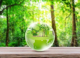 Eco friendly on wood table