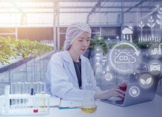 Leading Sustainable Food Innovation: Insights from an Agrifood Tech Leader Sustainable Food Innovation