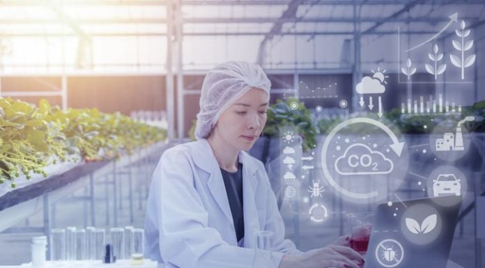 Sustainable Food Innovation