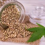 How Cannabis Seed Banks Ensure Genetic Quality and Variety Cannabis seed in a jar