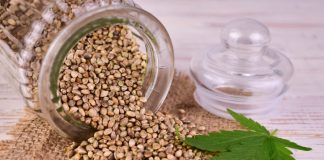 Cannabis seed in a jar