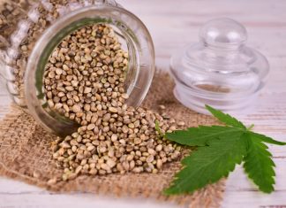Cannabis seed in a jar