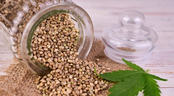 Cannabis seed in a jar