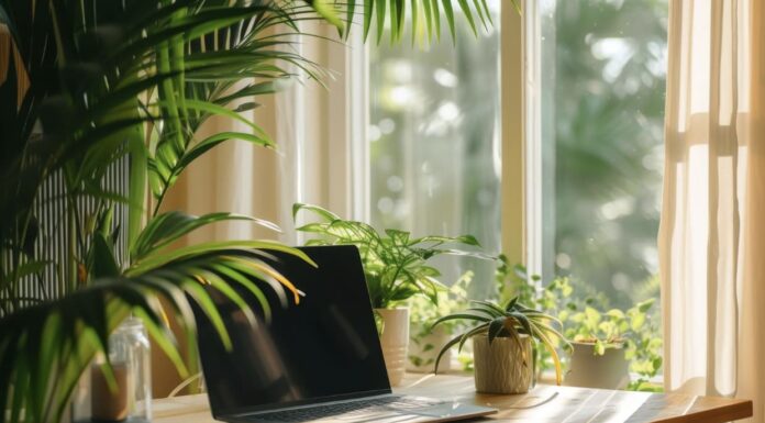 A tranquil and bright workspace by a window