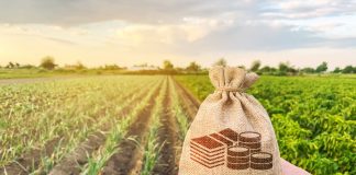 The farmer holds a money bag on the background of plantation