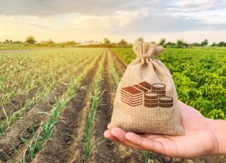 The farmer holds a money bag on the background of plantation