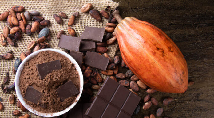 Cocoa powder on raw cocoa beans