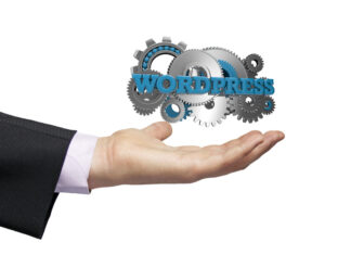 Wordpress businessman