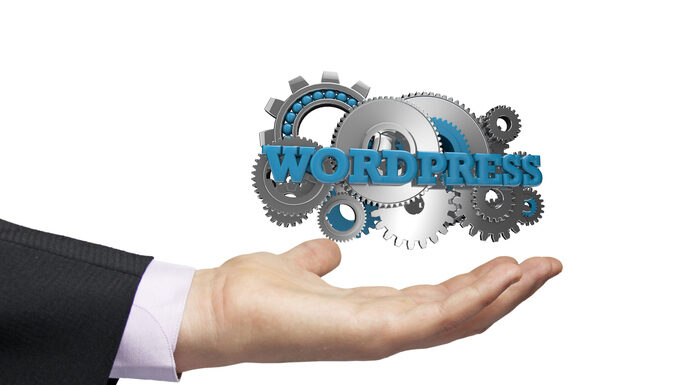 Wordpress businessman