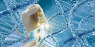Whole Exome Sequencing vs. Whole Genome Sequencing: What’s the Difference? DNA Molecule