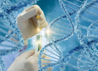 DNA Molecule