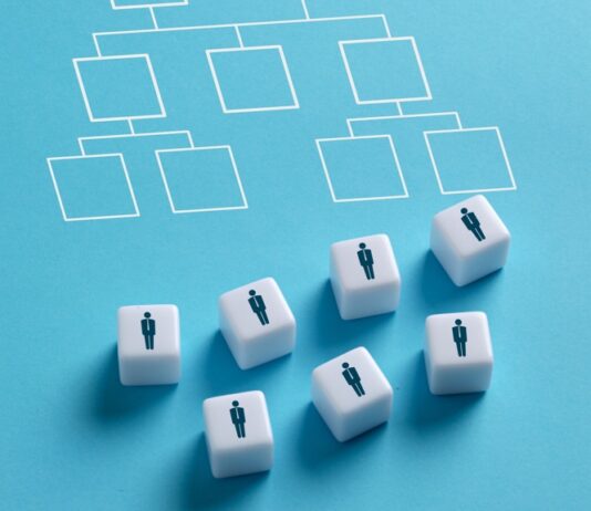 Flat Organizations Can Foment Trust and a Sense of Purpose, but Come with Their Own Challenges Organizations