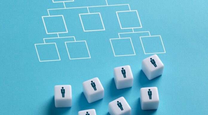 Flat Organizations Can Foment Trust and a Sense of Purpose, but Come with Their Own Challenges Organizations