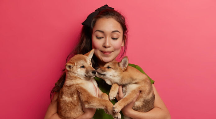 Photo by wayhomestudio on Freepik