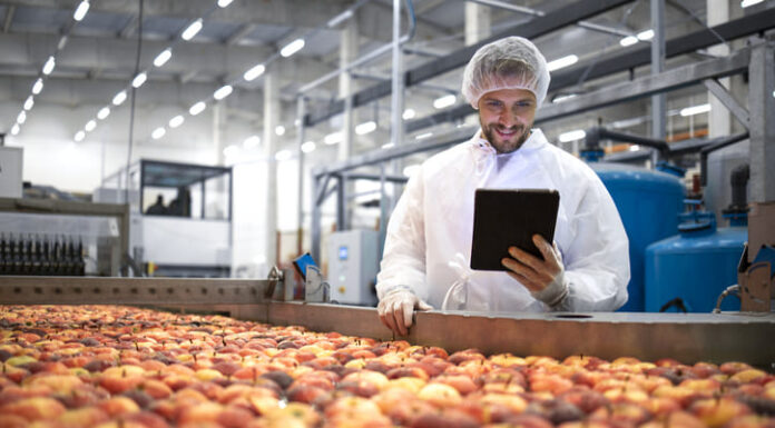 Technologist standing in food processing factory and checking quality of apple fruit.
