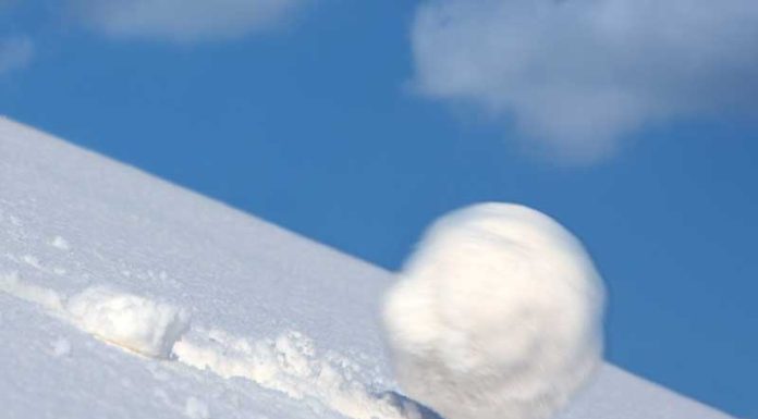 Digital Business Ecosystems