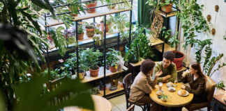Exploring The Esthetically Diverse Landscape Of Restaurant Chairs Two intercultural friends or dates having chat in cafe while sitting by table next to young woman drinking latte and listening to their discussion