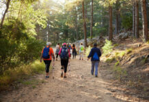 Ecotourism and Sustainable Development: New Trends in the Global Tourism Business Hiking, nature and fitness with a group of people walking in the woods or forest for health and exercise