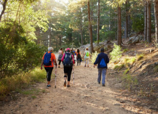 Hiking, nature and fitness with a group of people walking in the woods or forest for health and exercise