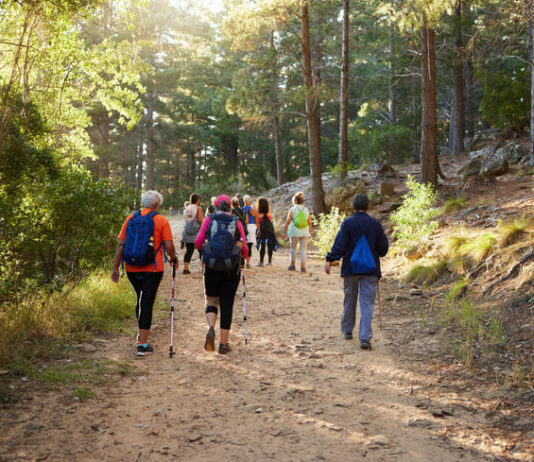 Ecotourism and Sustainable Development: New Trends in the Global Tourism Business Hiking, nature and fitness with a group of people walking in the woods or forest for health and exercise