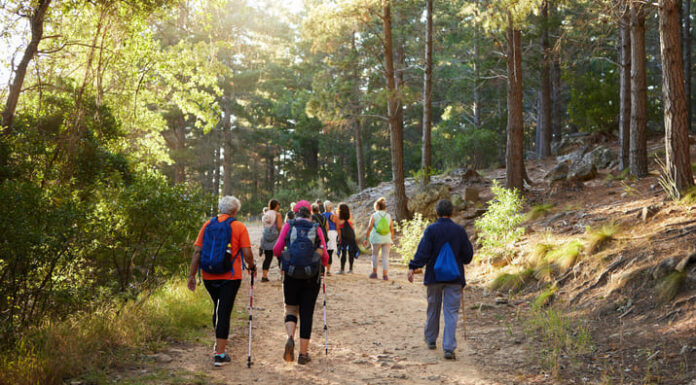 Hiking, nature and fitness with a group of people walking in the woods or forest for health and exercise