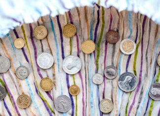 Understanding the Dynamics of the Swiss Franc Exchange Rate Coins from Europe