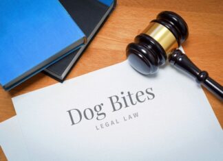 Why You Need a Dog Bite Injury Lawyer After an Attack  Dog bite legal law
