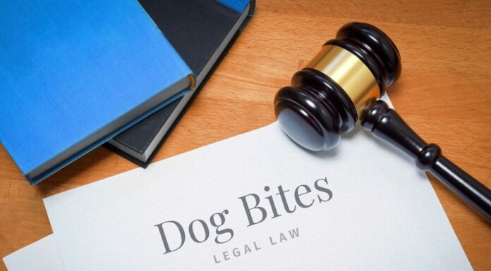 Dog bite legal law