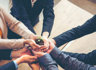 Evolution Sustainability Group Expands To EU and UK Markets as Emerging Building Standards Create Demand for Compliance Hands adult business Team Work partnership harmony Cupping young Plant and seeding Nurture grow Environmental and reduce global warming help earth, top view. Ecology agriculture Concept