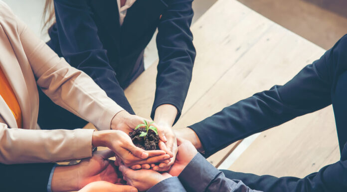 Hands adult business Team Work partnership harmony Cupping young Plant and seeding Nurture grow Environmental and reduce global warming help earth, top view. Ecology agriculture Concept