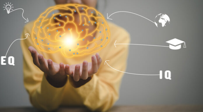 How to Train Your Brain to Improve Focus and Stay Mentally Agile Train Your Brain