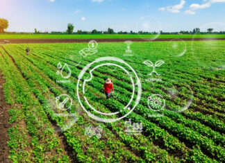 Investing in Sustainable Agriculture for Climate Mitigation and Food Security Agriculture technology farmer man using tablet computer analysis data and visual icon