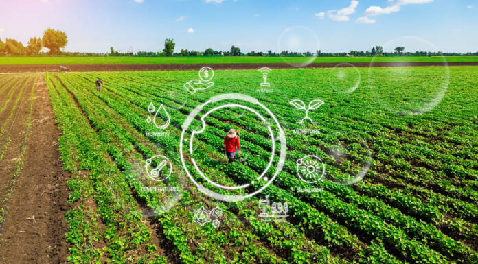 Investing in Sustainable Agriculture for Climate Mitigation and Food Security Agriculture technology farmer man using tablet computer analysis data and visual icon