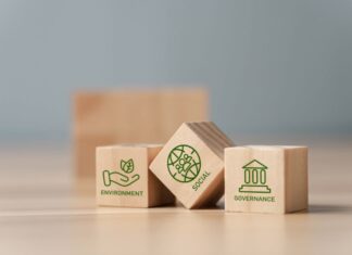 Ethical Transformation: Organisational Integrity through Sustainable Control Systems