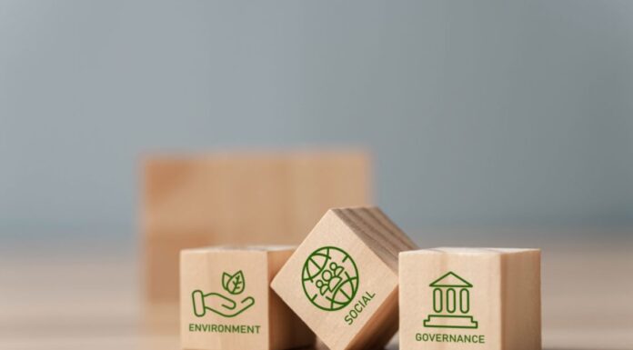 Ethical Transformation: Organisational Integrity through Sustainable Control Systems