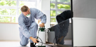 Comprehensive Pest Control Solutions for Melbourne and Adelaide Pest Control Exterminator Services Spraying Insecticide