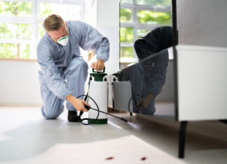 Pest Control Exterminator Services Spraying Insecticide