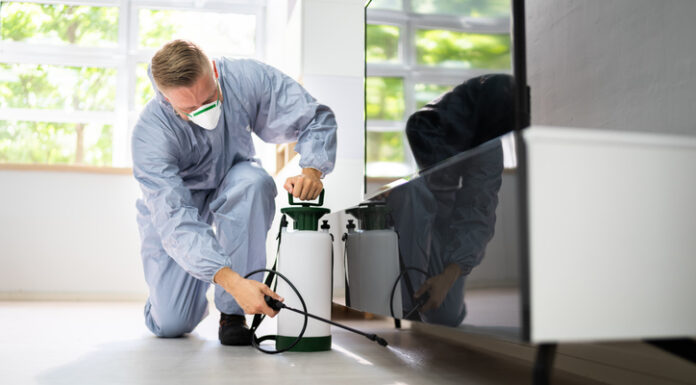 Comprehensive Pest Control Solutions for Melbourne and Adelaide Pest Control Exterminator Services Spraying Insecticide