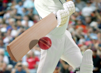Cricket