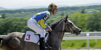 Equestic Launches Coach Copilot for over 335 Million Riders Worldwide Horse racing in Russia