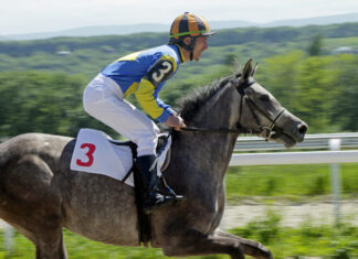 Horse racing in Russia